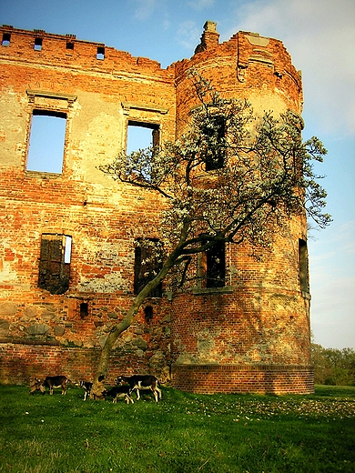 te zamki poamane, zwaliska bez adu...