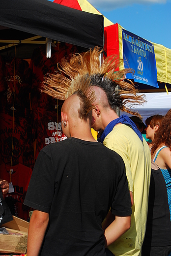 Woodstockowicze w penej krasie. Przystanek 2009