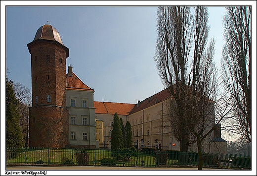 Komin Wielkopolski - Zamek Orla