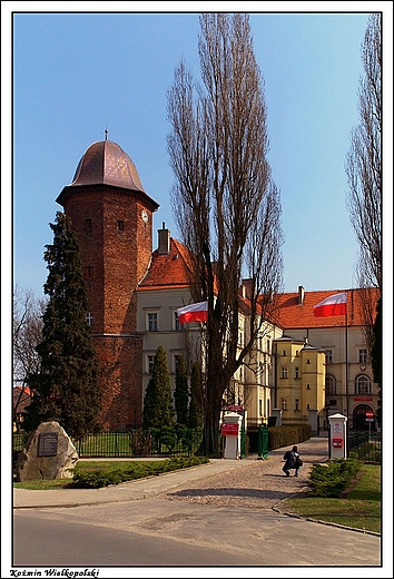 Komin Wielkopolski - Zamek Orla