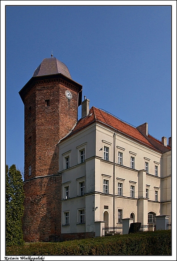 Komin Wielkopolski - Zamek Orla