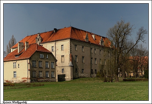 Komin Wielkopolski - Zamek Orla