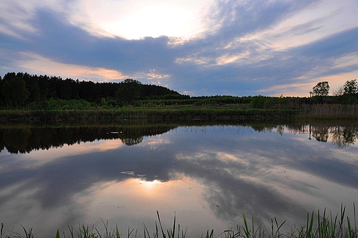 Staw rybacki, Toporw woj.witokrzyskie