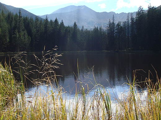 Smreczyski Staw jesieni. Tatry