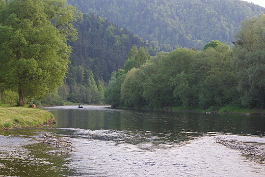 Dunajec