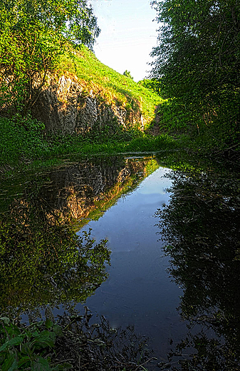 Rezerwat przyrody Zimne Wody w Busku - Zdroju