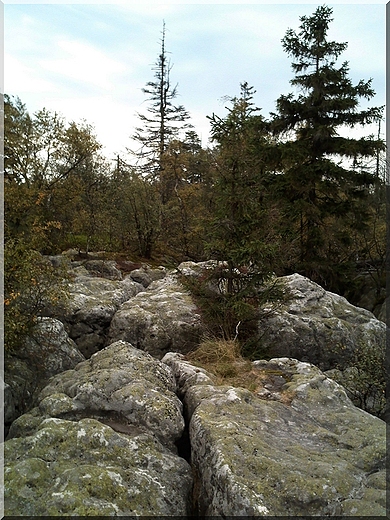 skałki