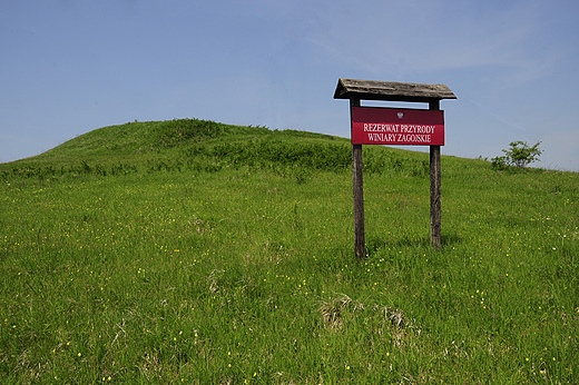 Rezerwaty Ponidzia - rezerwat Winiary Zagojskie