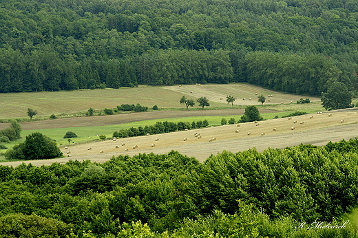 Dolina Poni okolice Barlinka