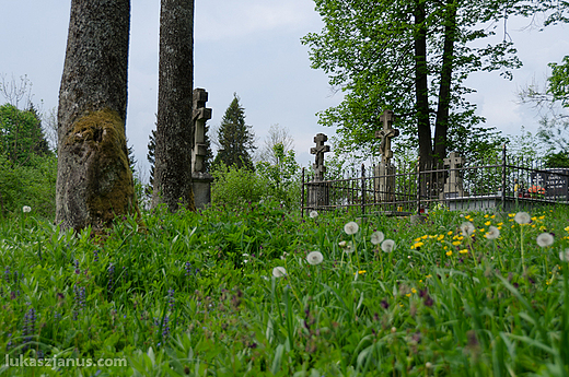 Zapomniany cmentarz w Woowcu