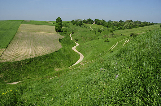 Panorama z grodziska w Stradowie