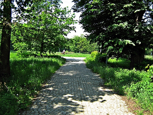 Brzeg Dolny - park