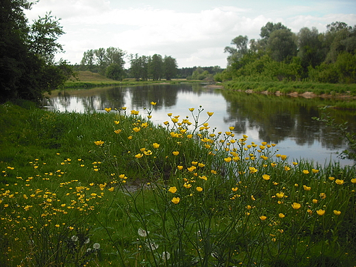 Szczypiorno. Nad Wkr.