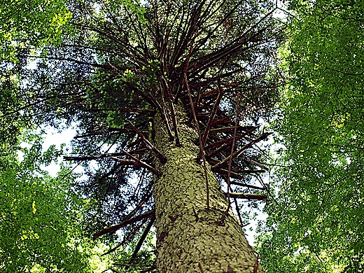 Roztoczaski Park Narodowy