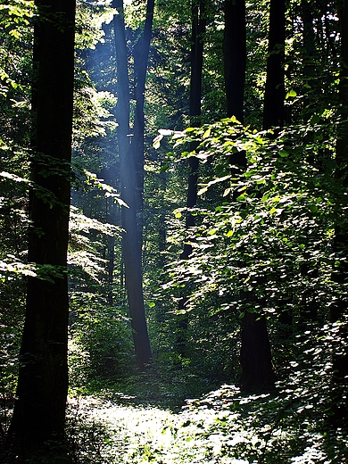 Roztoczaski Park Narodowy