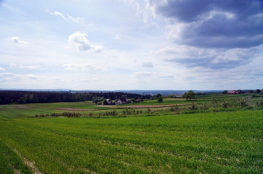 Pola wsi Krynki