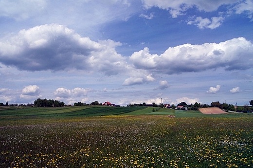 Pola wsi Krynki