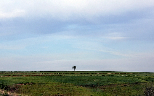 Kakw - okoliczne pola