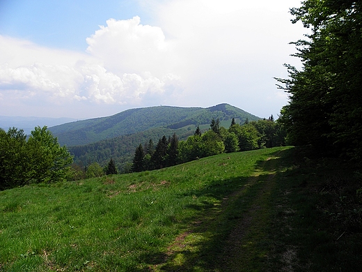 Widok na Wielk Czantori ze szlaku na Ma Czantori