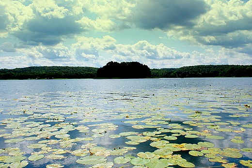Jezioro Barlineckie