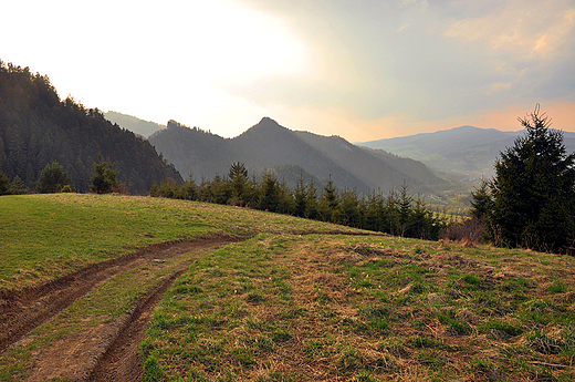 Widok ze stokw Szafranwki na Pieniny