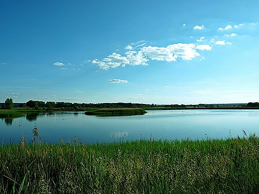 STAWY TOPORNICA