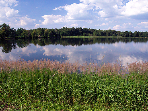 Staw Zabrzeszczak.