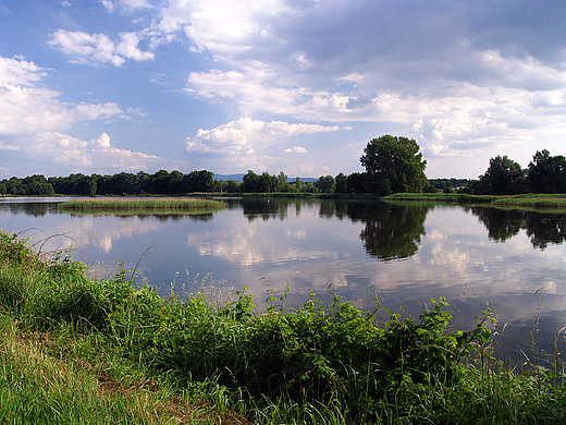 Staw Zabrzeszczak.