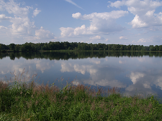 Staw Zabrzeszczak.