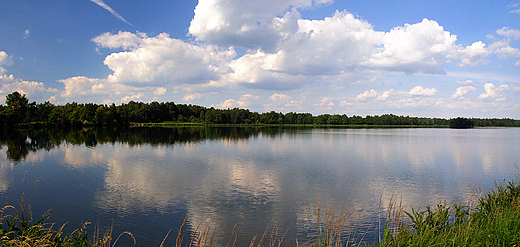 Staw Zabrzeszczak.