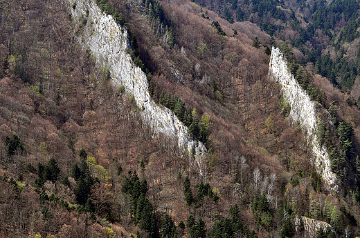 Grzebienie skalne na stokach Trzech Koron. Widok z Sokolicy