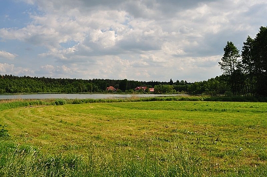 ostrów