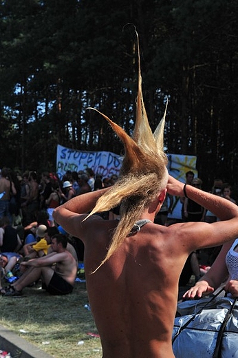Woodstock 2009 - irokez
