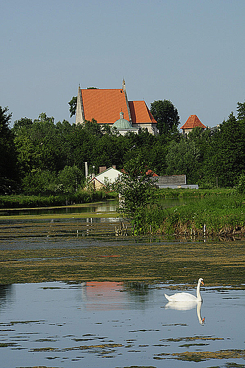 Widok na far w Stopnicy z Wolicy