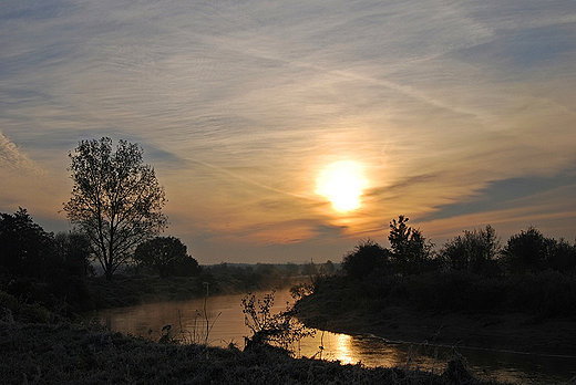 Czarna Nida