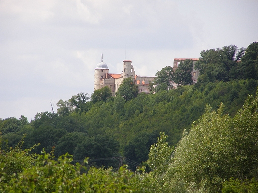 Widok na zamek Janowiec od strony Wisły