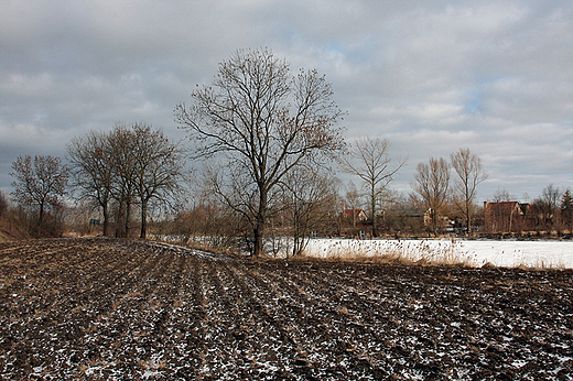 Drewnica nad Szkarpaw