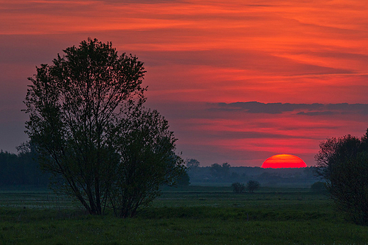 Dobranoc Podlasie