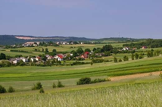 Widok na Wzd Rzdowy i Wzd Wicka