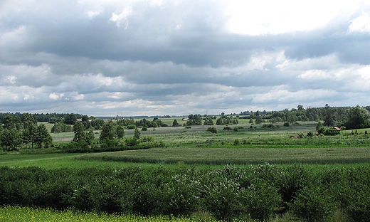 Widok na moczary