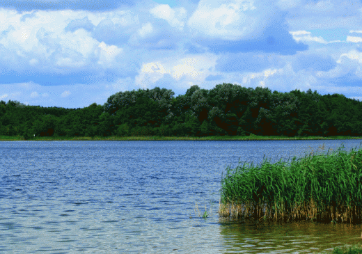 Pozna - Jezioro Strzeszyskie