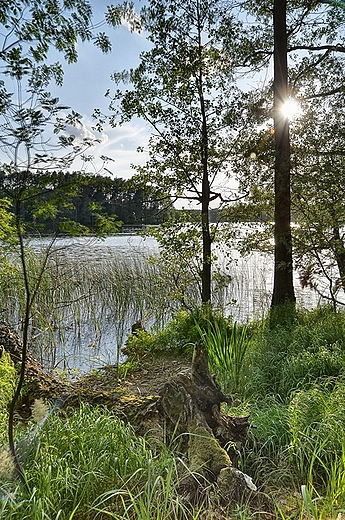 j. Dbno - jedno z pikniejszych na poj. brodnickim