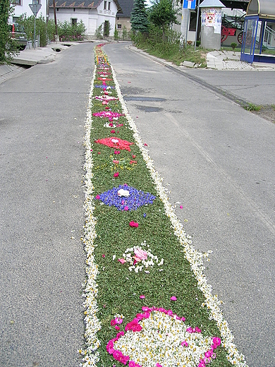 Kwietne dywany, Boe Ciao 2011r., w Kluczach.