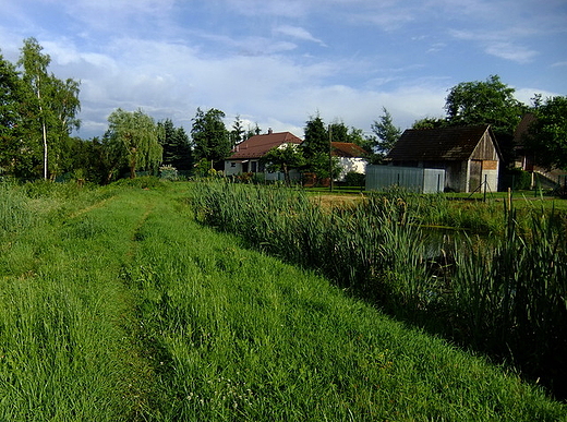 Nad przyklasztornym stawem