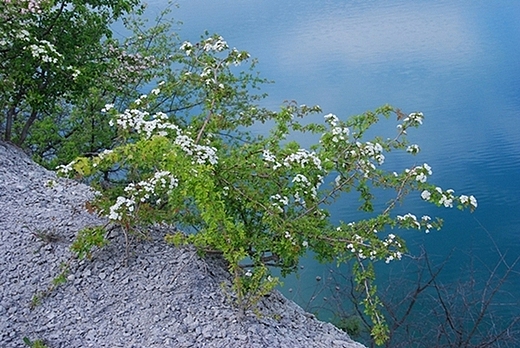 Urwisko