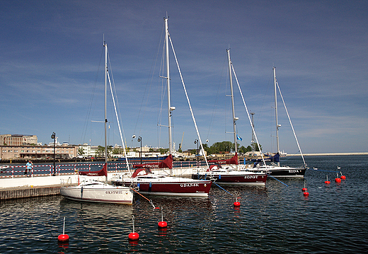 Gdynia. Fragment Portu Jachtowego.