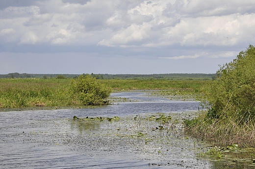 droga nad Biebrza