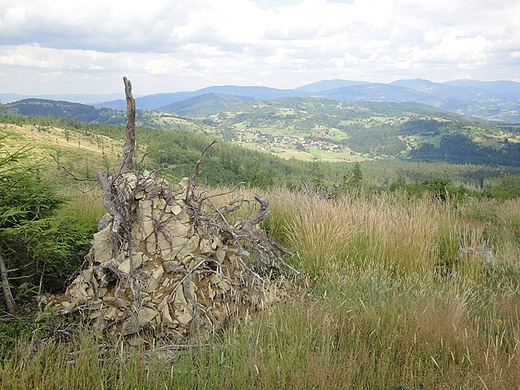 Beskid ywiecki