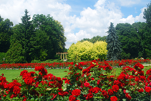 acut. Park Zamkowy.