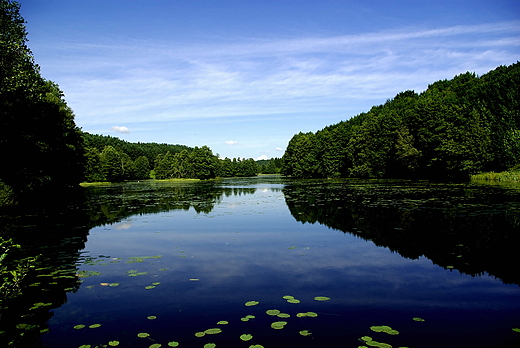 Staw Turtul Suwalski Park Krajobrazowy